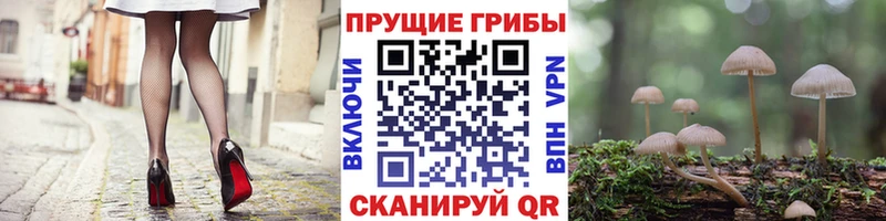 Псилоцибиновые грибы Magic Shrooms  Волгодонск 